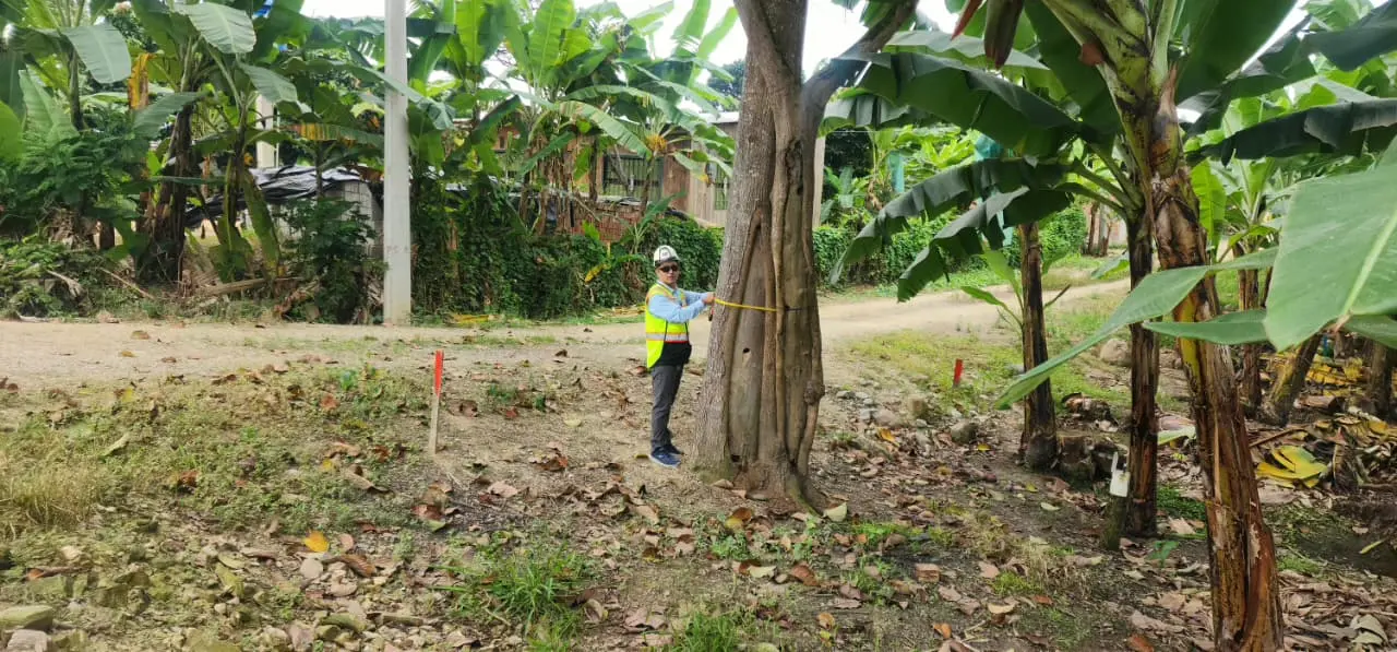 Imagen de galería 16