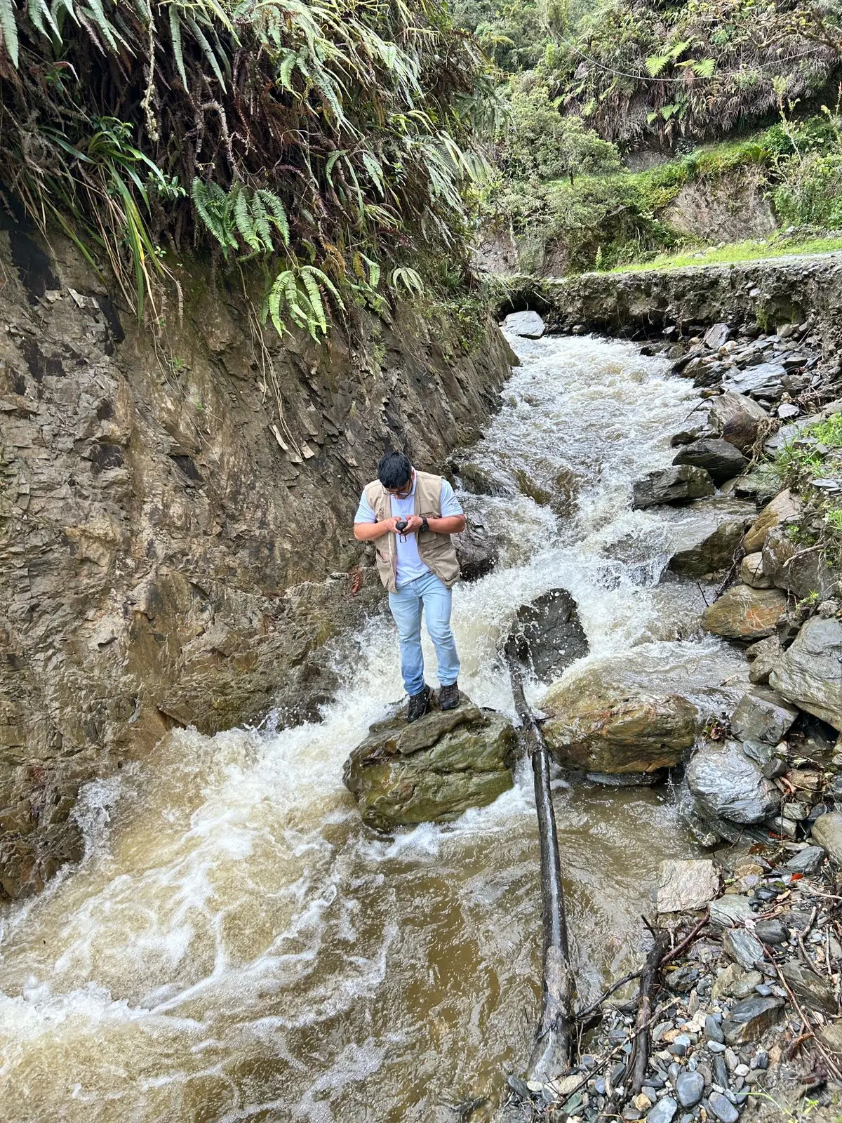 Imagen de galería 3