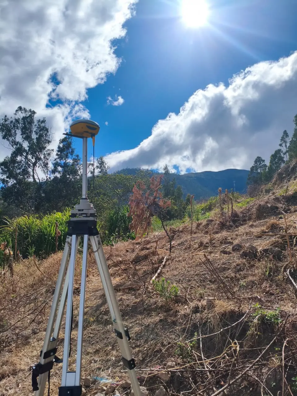 Imagen de galería 7