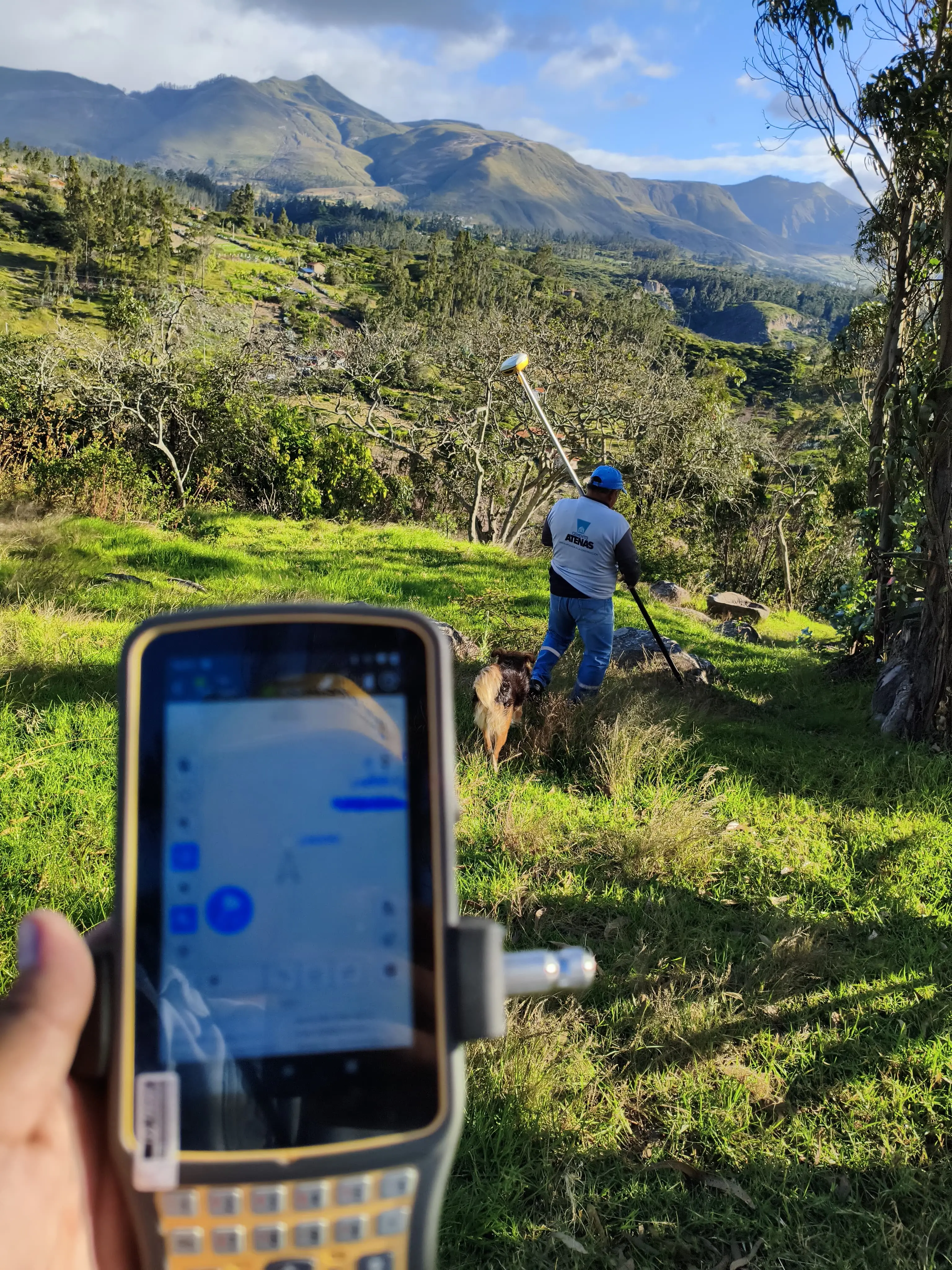 Imagen de galería 8