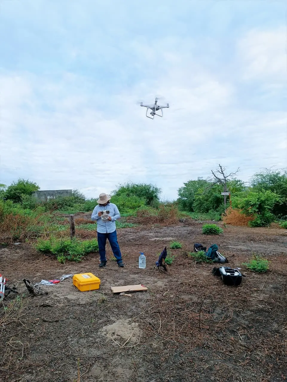 Imagen de galería 9